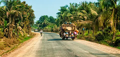 Route de campagne bordée de palmiers