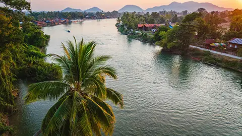 Rivière au coucher du soleil avec palmiers