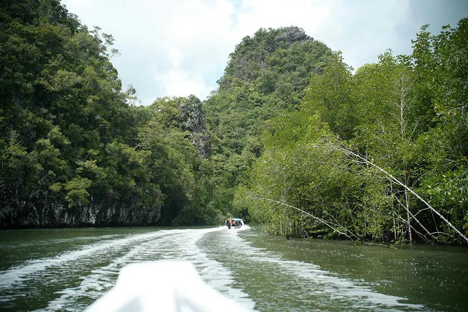 Vue depuis un bateau dans la mangrove de Langkawi, Malaisie.
