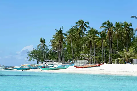 Plage de sable blanc bordée de palmiers