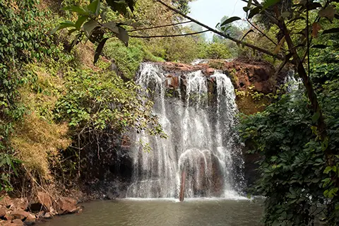 Cascade en forêt tombant dans un bassin