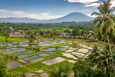 Vue aérienne de rizières en terrasses avec volcan au loin