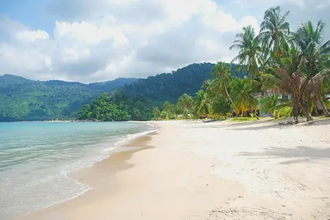 Plage isolée de sable blanc avec palmiers et collines verdoyantes.