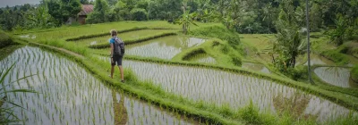 Personne marchant au milieu de rizières inondées
